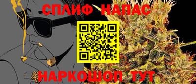 спиды Можга