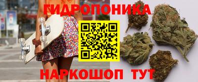 спиды Можга