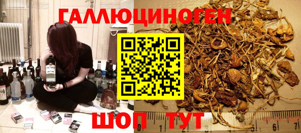 Псилоцибиновые грибы Psilocybe  Галлюциногенные грибы прущие грибы  Азнакаево  Вход с VPN 
