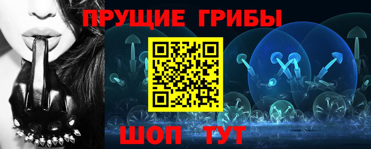 Галлюциногенные грибы Psilocybine cubensis Азнакаево